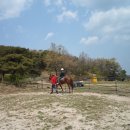 장수원목장 이미지