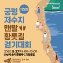 궁평 티스토리