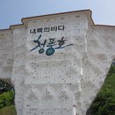 제천 충주호(청풍리조트) 인공암벽장 이미지