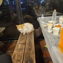 이글스파크펜션 이미지