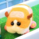 미스테리우스 이미지