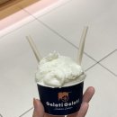 젤라띠젤라띠롯데동탄점 | 동탄 롯데백화점 디저트 추천 젤라띠젤라띠 젤라또 방문 후기