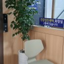 연세송앤김내과의원 네이버블로그