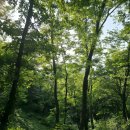 산림욕장 | 의정부 자일동산림욕장 힐링 산책 후기 🌲 여기가 진짜 산림욕 맛집