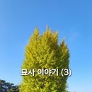 양화 우종손묘 | 묘사 이야기(3)
