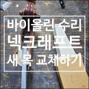 안스트링 이미지