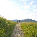 비내섬스케치