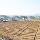 행복의도시 이미지