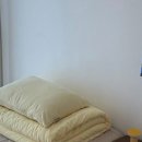 알롱스테이 이미지