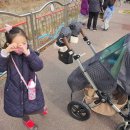 무동꿈유치원 이미지