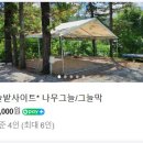 솔밭체육공원 오토캠핑장 이미지