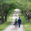 태신목장 이미지