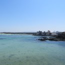 제주 올레길 14코스 이미지