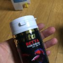 리컴하우스 | [베타어항] 베타와 사는 삶 / 어항 세팅 / 이것 저것 넣어보기 / 1년이 지나서