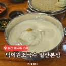 일산 콩국수 맛집 | 양에 놀라고 맛에 놀라는 덕이원조국수 일산본점 후기