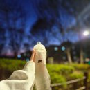 지니소프트 | 소프트 플라스크 물병 미올로 접이식 물통 등산할 때 정말 편했던 후기