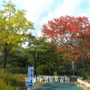 영등포공원 이미지