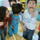 시립감골 어린이집 이미지