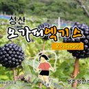 성주성산식품