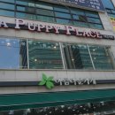 퍼피플레이스 이미지