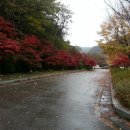 20141103 대전 대둔산 (산벗) 이미지