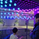 창의과학 체험센터 | [부산 연제구 아이와 실내 나들이] 부산광역시교육청 창의융합교육원 무료 과학체험 후기