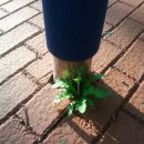 생명예찬2 이미지