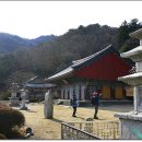 배티경로당 Daum카페