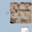 개러리아 송파점 이미지