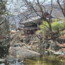 별묘 | 如一同行 백 아흔 한번째 -포항2