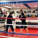 에너자이저 복싱 이미지