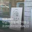 코코 반려견미용실 | 안양[박달/호현동] - 박달동 호현동 애견미용실 코코바코