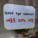 댕이당 네이버블로그