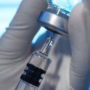 30대 여성, ‘Y존 필러’ 맞다 4분 만에 심정지…법의학자 경고한 미용사고 실태 이미지