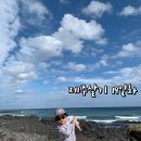 표선하늘의원 이미지