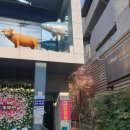 구시장화장실 이미지