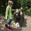 동물원 연합뉴스