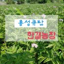 한결농장 이미지