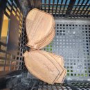 한일초등학교(병설) 이미지