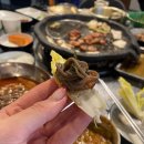 [맛집탐방기28]국내 최초 연잎 숙성 막창 청주 동남지구 맛집 연막창