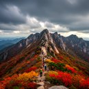 제443차 (11/02) 장성 백암산(100대 명산) 산행신청 이미지