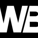 위빙복싱클럽 이미지