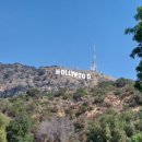 인앤아웃마켓코리아 이미지