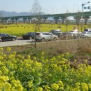 대저생태공원 이미지