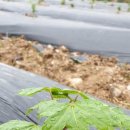 평리농장 이미지