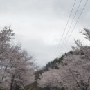 부귀농장 이미지