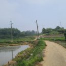 석천농로 이미지