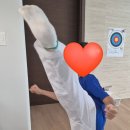 라비 태권도장 네이버블로그