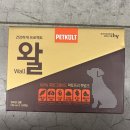 건강하개 이미지