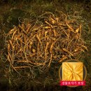 천삼명가